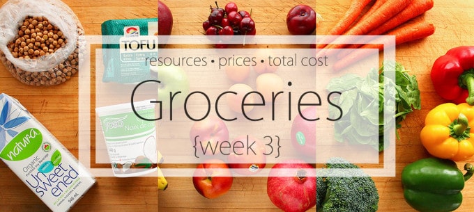 Groceries {Week 3} - Grocery resources + Prices and total cost | ilovevegan.com