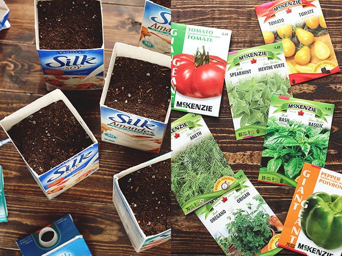 Starting a Small Herb & Vegetable Garden Using Recycled Silk Containers - ilovevegan.com