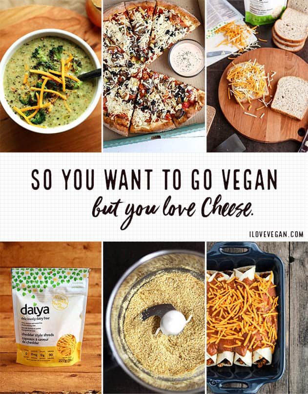 So You Want To Go Vegan But You Love Cheese - ilovevegan.com